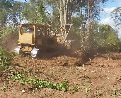 Tractor de oruga realizando desmonte en derecho de vía