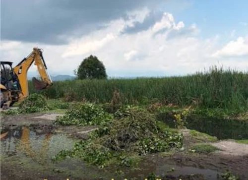 Limpieza y remoción de vegetación para locación de pozo